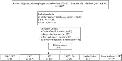Influence of adverse effects of neoadjuvant chemoradiotherapy on the prognosis of patients with early-stage esophageal cancer (cT1b-cT2N0M0) based on the SEER database